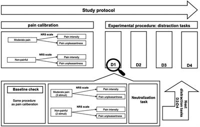 Insights into pain distraction and the impact of pain catastrophizing on pain perception during different types of distraction tasks